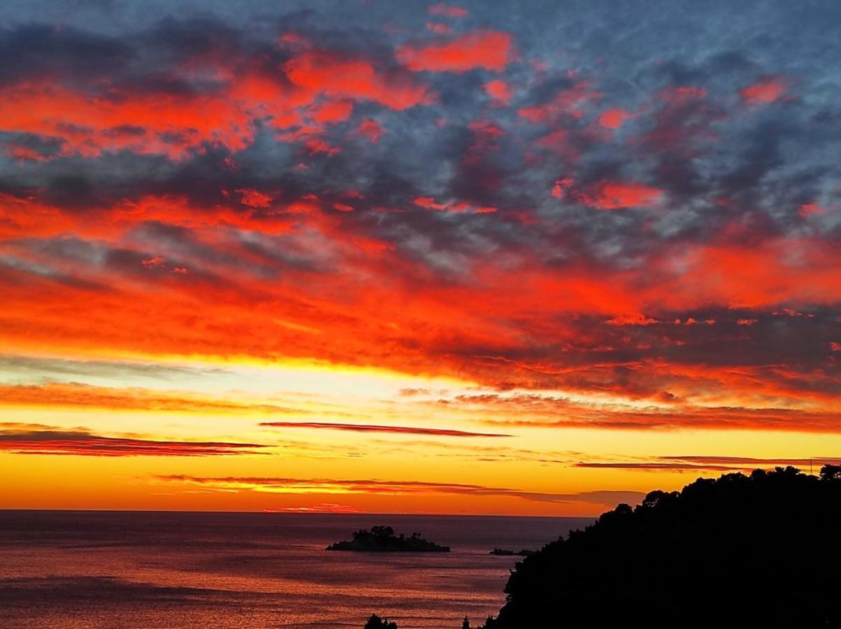 Panoramatic * Petrovac