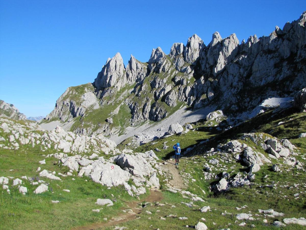 Panoramatic * Петровац